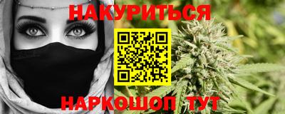 гашик Берёзовский