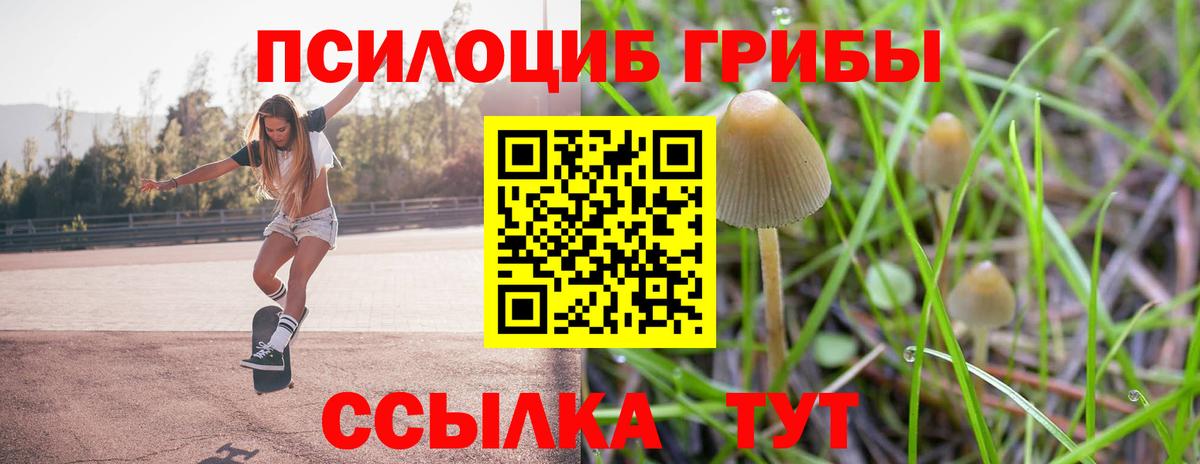 Каменск-Уральский  Галлюциногенные грибы MAGIC MUSHROOMS  Вход с VPN 