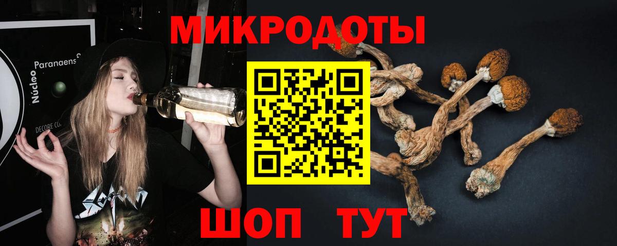 Псилоцибиновые грибы Psilocybine cubensis Каменск-Уральский